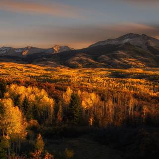 MacOS autumn wallpaper
