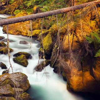 Valley autumn wallpaper