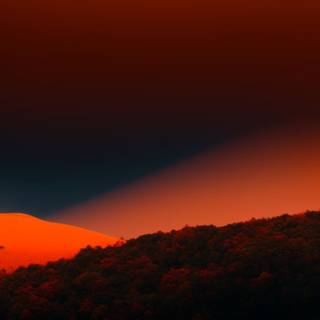 MacOS autumn wallpaper