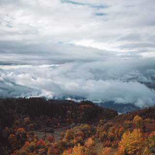 Valley autumn wallpaper