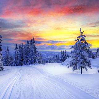 Winter landscape laptop wallpaper