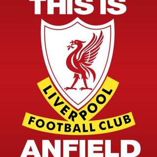 Liverpool FC 2023/2024 wallpaper