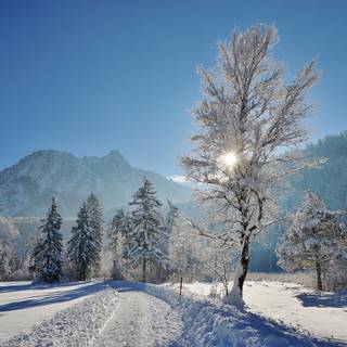 Winter landscape laptop wallpaper