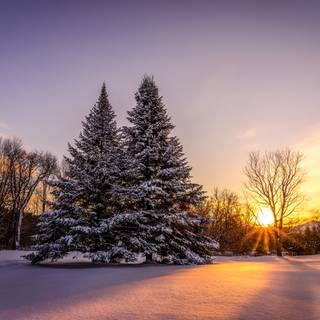 Winter landscape laptop wallpaper