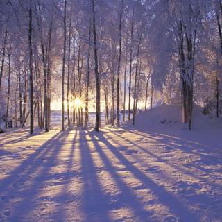 Winter landscape laptop wallpaper