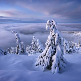 Winter landscape laptop wallpaper