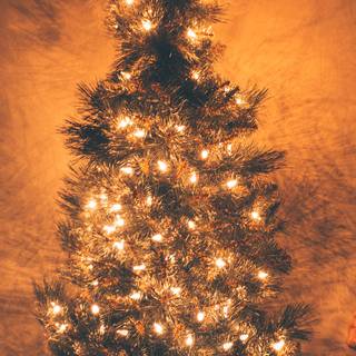 Nature Xmas wallpaper