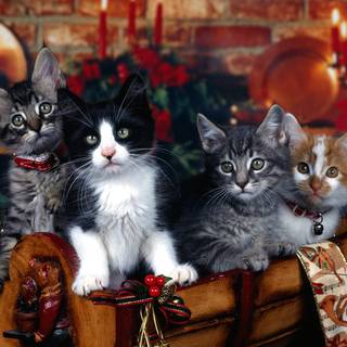 Xmas animal wallpaper