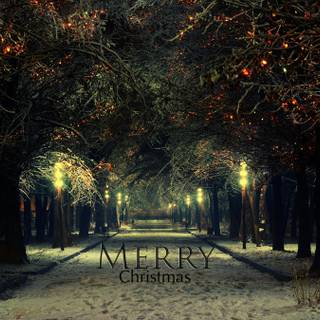 Nature Xmas wallpaper