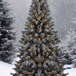 Xmas tree outdoor wallpaper