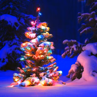 Xmas tree outdoor wallpaper