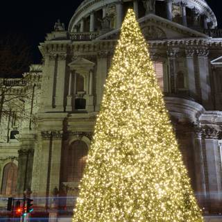 Xmas tree outdoor wallpaper