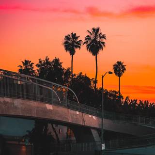 Los Angeles 4k iPhone wallpaper