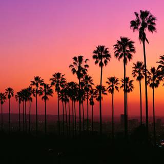 Los Angeles sunset 4k wallpaper