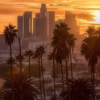 Los Angeles mobile wallpaper