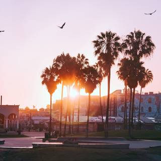 Los Angeles sunset 4k wallpaper