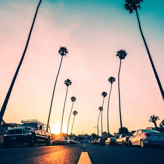 Los Angeles sunset 4k wallpaper