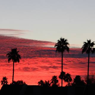 Los Angeles sunset 4k wallpaper