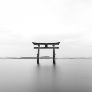 Black Japanese 4k wallpaper