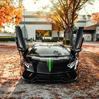 Black Lamborghini iPhone wallpaper