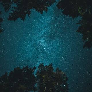 iPhone 11 stars wallpaper