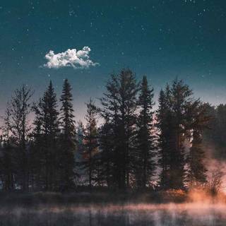 iPhone 11 stars wallpaper