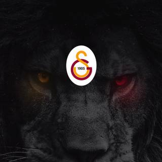 Galatasaray phone wallpaper