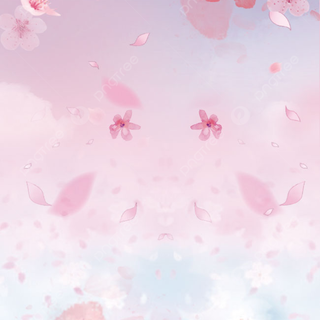 Cherry Blossom iPhone 11 wallpaper