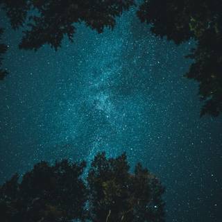 iPhone 11 stars wallpaper