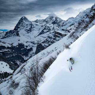 Marcus Caston wallpaper