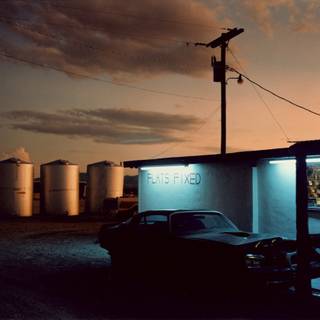 Wim Wenders wallpaper