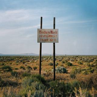 Wim Wenders wallpaper