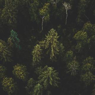 Dark ultrawide wallpaper