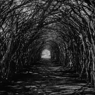 Dark ultrawide wallpaper