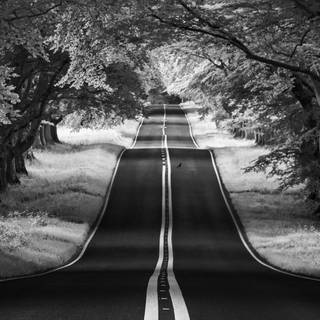 Dark ultrawide wallpaper