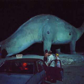 Wim Wenders wallpaper