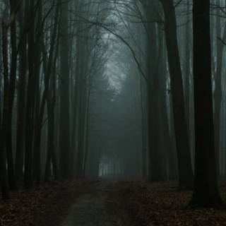 Dark ultrawide wallpaper