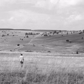 Wim Wenders wallpaper