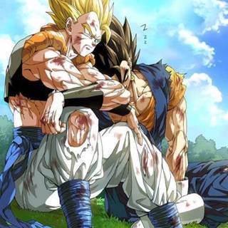 Vegito vs Gogeta wallpaper