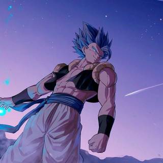 Vegito and Gogeta desktop wallpaper