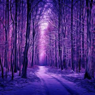 Purple winter aesthetic wallpaper