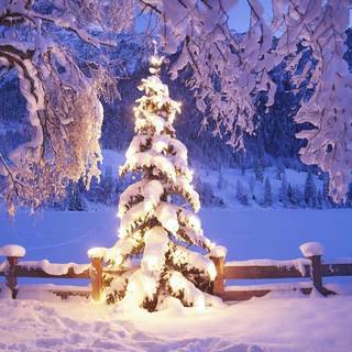 Christmas snow lights wallpaper