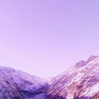 Purple winter aesthetic wallpaper