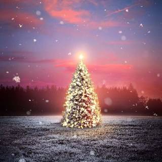 iPhone X Xmas wallpaper