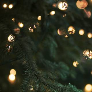 iPhone X Xmas wallpaper