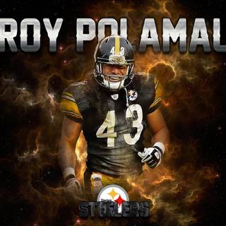 Troy Polamalu desktop wallpaper