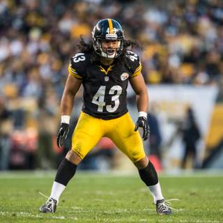 Troy Polamalu desktop wallpaper