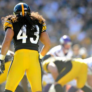 Troy Polamalu desktop wallpaper