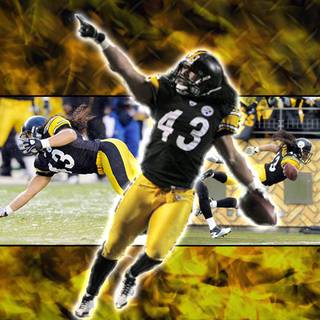 Troy Polamalu desktop wallpaper