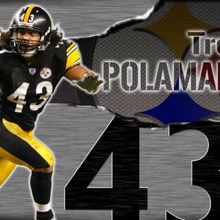 Troy Polamalu desktop wallpaper